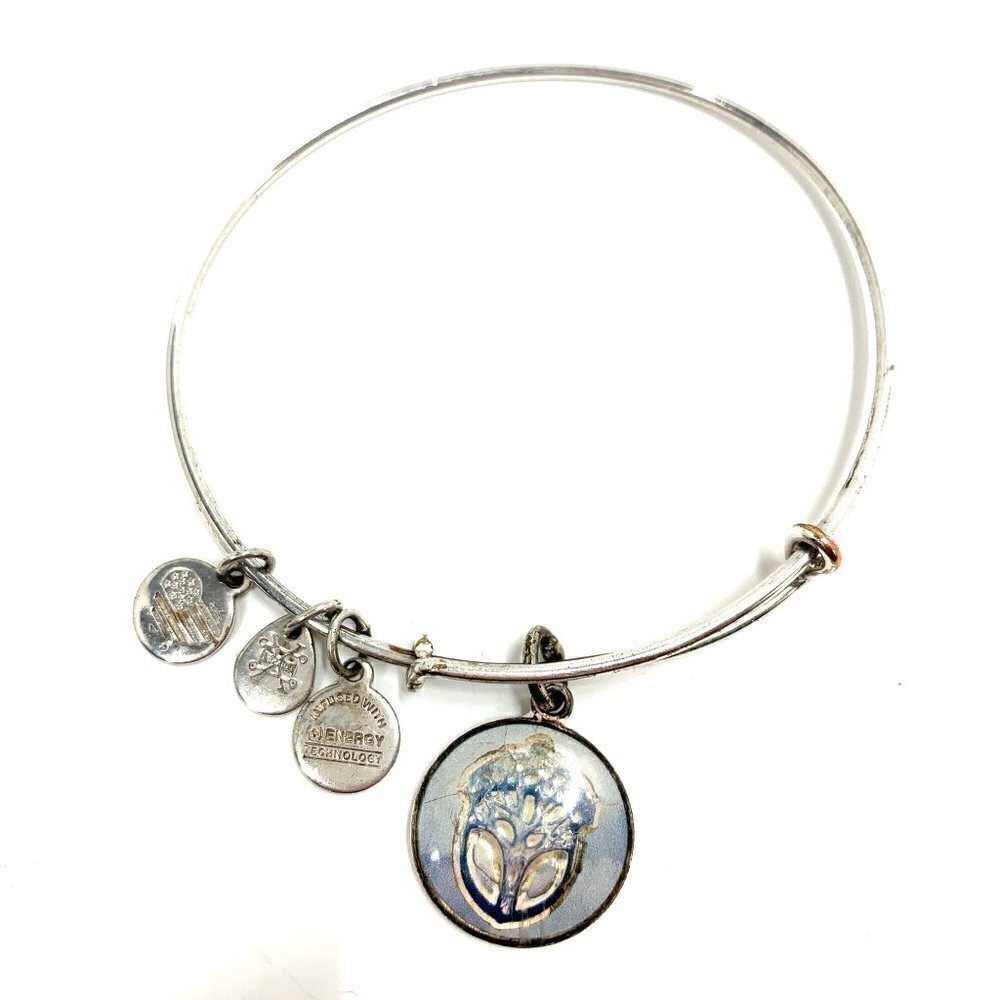 Alex and Ani Unexpected Miracles Charm Bracelet Silver Finish - Expands 2"